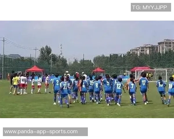 全球球星阵容大汇聚 全明星足球队员风采展示