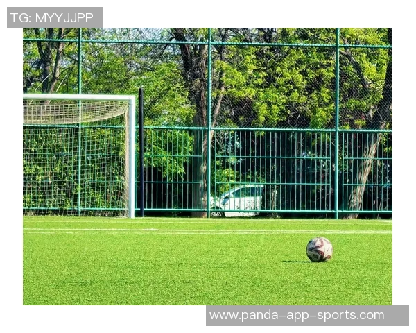揭秘双字足球巨星英文姓名背后故事与绿茵场上传奇经历