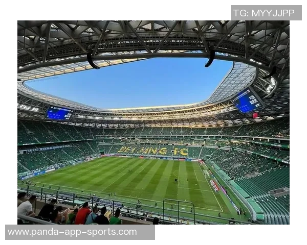 白金足球球星荣耀征程见证绿茵激情与辉煌梦想