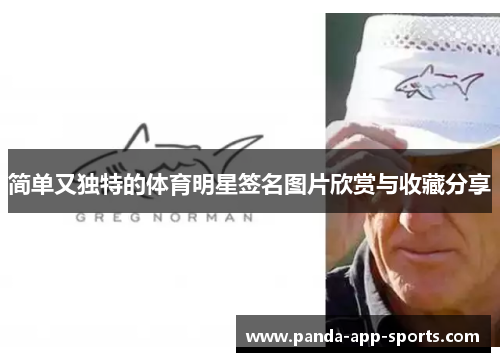 简单又独特的体育明星签名图片欣赏与收藏分享